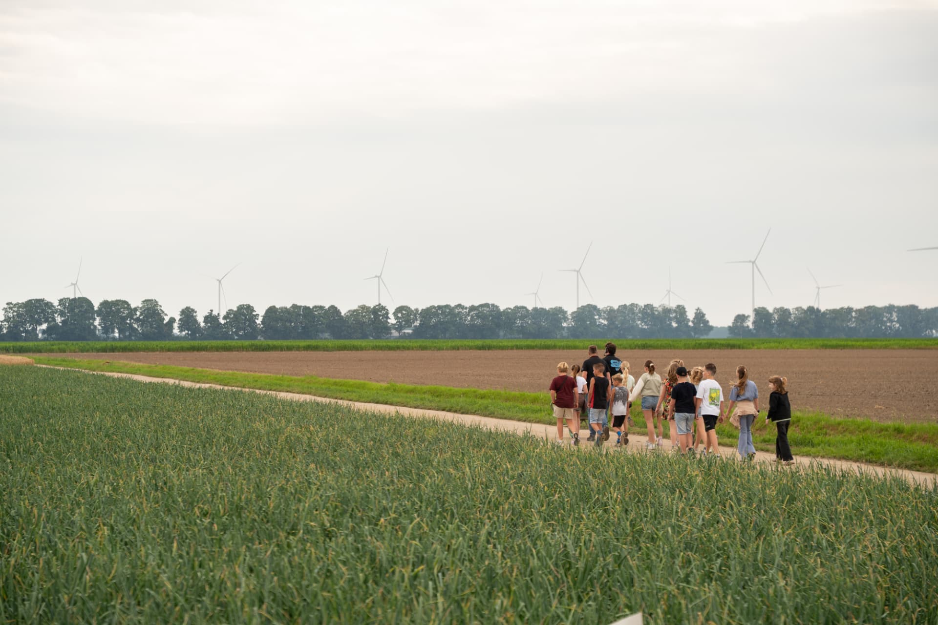 Leerlingen lopen door het Flevolandse landschap met windmolens